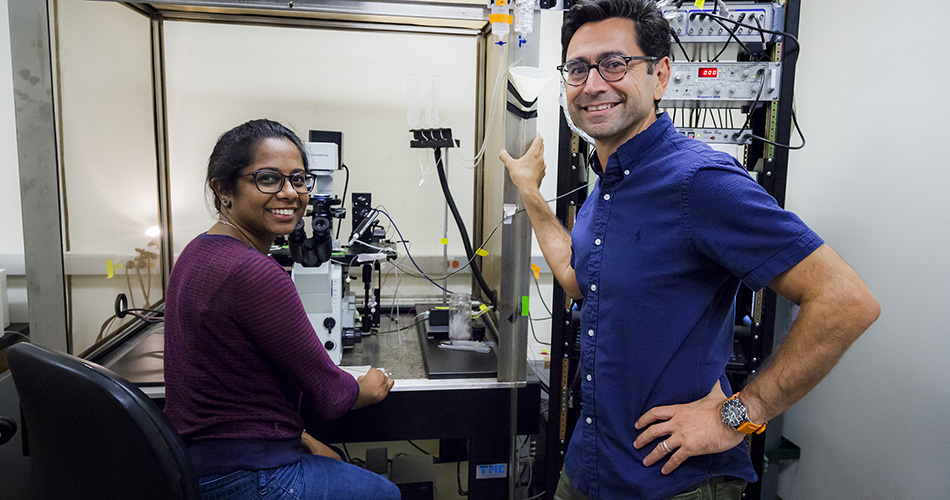 Left to right: Swetha Murthy and Ardem Patapoutian led the study at Scripps Research. Credit: Scripps Research