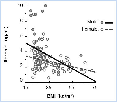 Graph of Adropin vs. BMI
