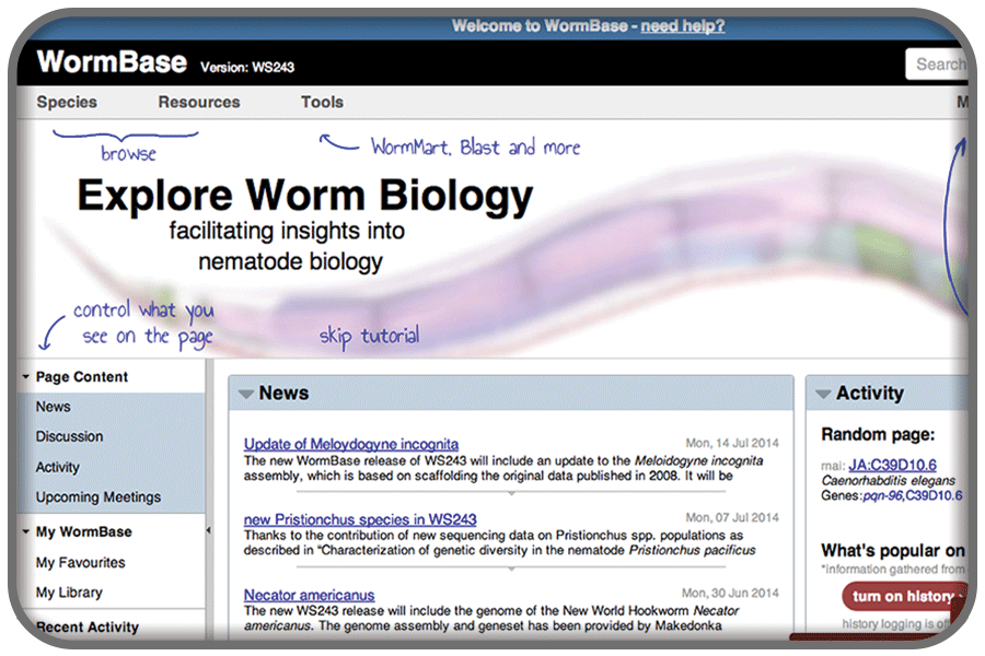 wormbase