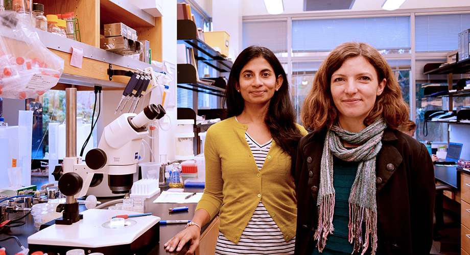 TSRI Assistant Professor Supriya Srinivasan (left) and TSRI Research Associate Lavinia Palamiuc led the new study. (Photo by Madeline McCurry-Schmidt.)