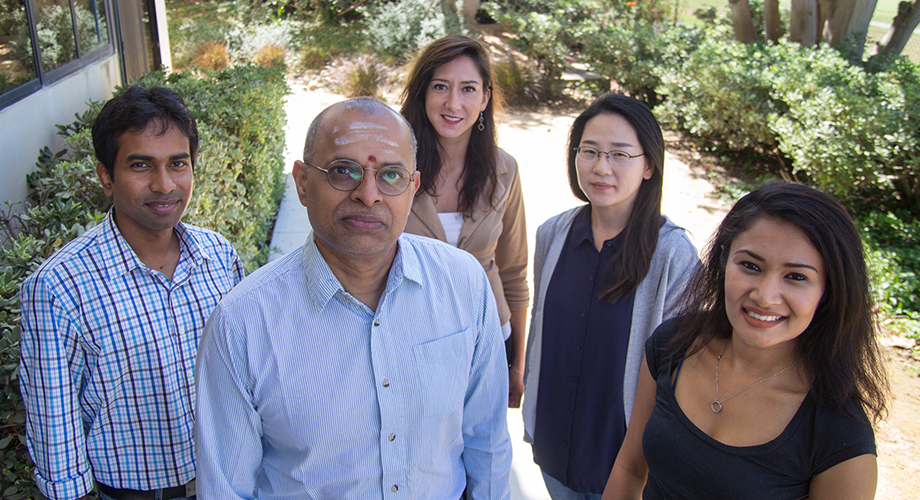 Left to right:  Subhendu Bhowmik, Ramanarayanan Krishnamurthy, Clémentine Gibard, Kim, Eun-Kyong, Megha Karki