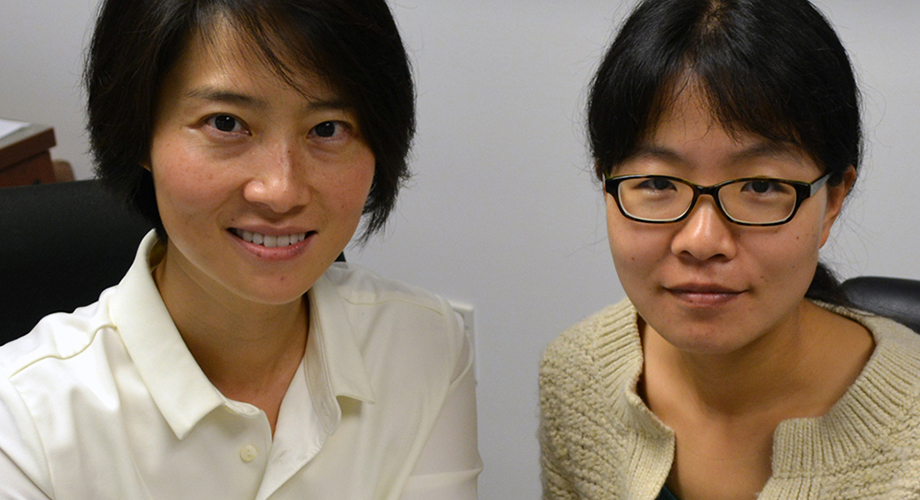 Xiang-Lei Yang, PhD, and Zhongying Mo, PhD, led the study at The Scripps Research Institute. (Photo by Cindy Brauer)