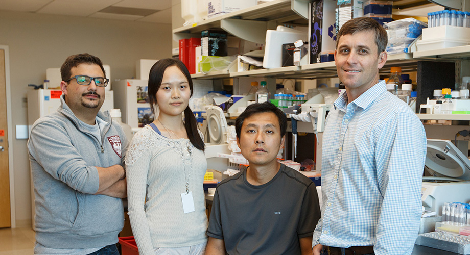 (Left to right) Adam Getzler, Huitian Diao, Dapeng Wang and Matthew Pipkin led the study on the Florida campus of The Scripps Research Institute (Photo by Scott Wiseman)