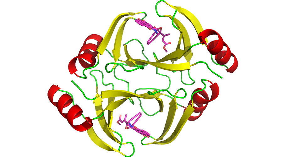 The structure of the protein encoded by the tnmS3 gene. (Shen Lab/Scripps Research)