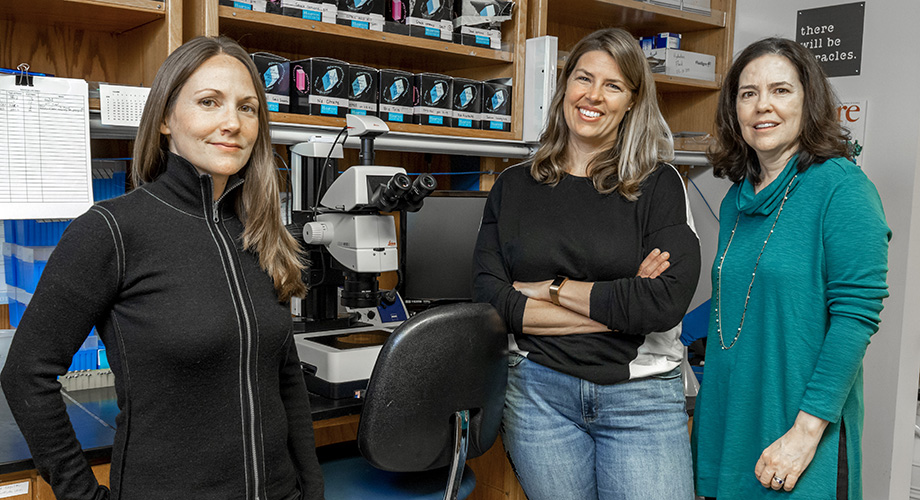 The study included (left to right) Marnie Fusco, Erica Ollmann Saphire and Sharon Schendel. (Photo by Don Boomer, Scripps Research)