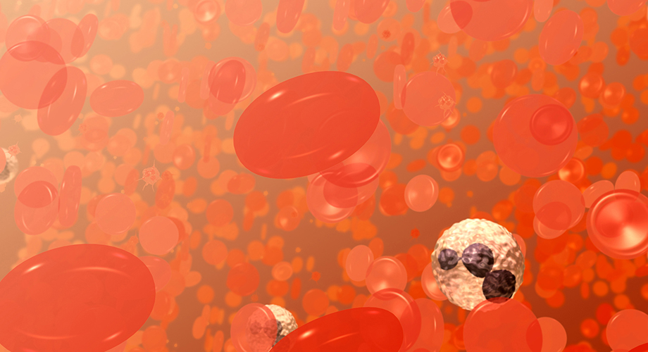 This is a field of blood cells. The bi-concave disks are red blood cells or erythrocytes. The white cell with the dark purplish, multi-lobed nucleus is a neutrophil, a type of white blood cell or leukocyte. The smaller spikey objects are platelets. Credit: National Institutes of Health
