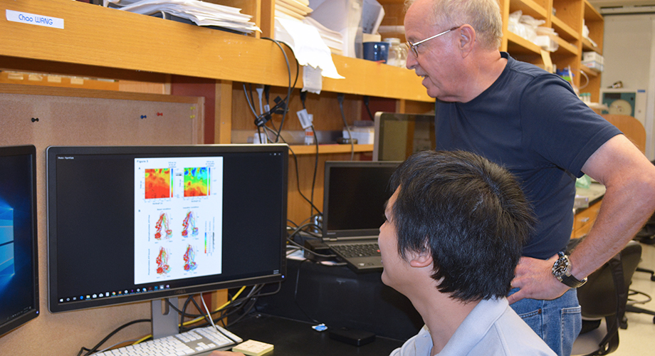 Researchers William Balch (standing) and Chao Wang led the new Cell Reports study