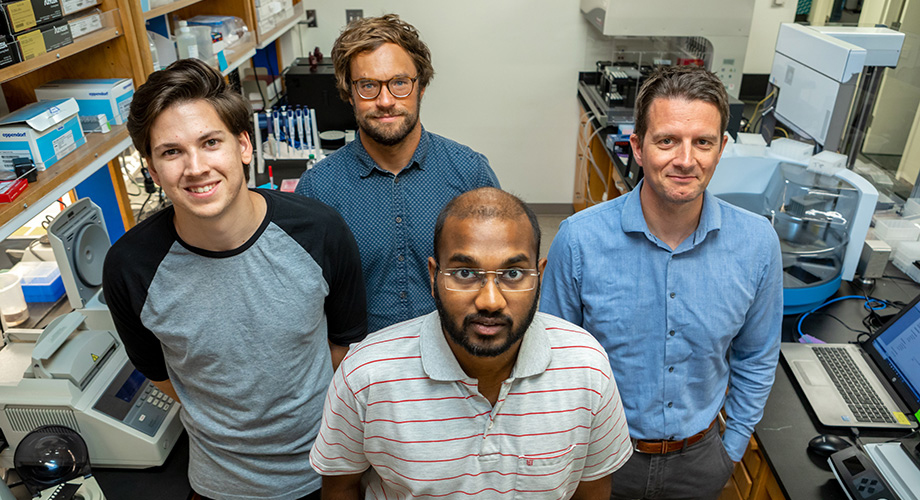 The Andersen lab at Scripps Research uses genomics to investigate how viruses such as Zika cause large-scale outbreaks. Pictured here are graduate students Nate Matteson (left), Glenn Oliveira (back) and Karthik Gangavarapu (front), and principal investigator Kristian Andersen, PhD (right); all contributed to the Aug. 22 study in the journal Cell. 