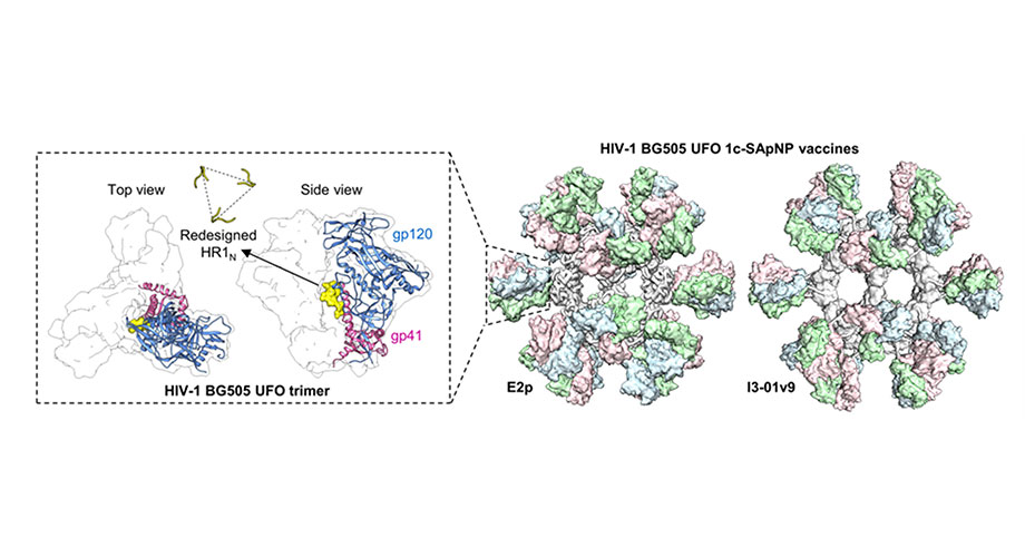 HIV Vaccines