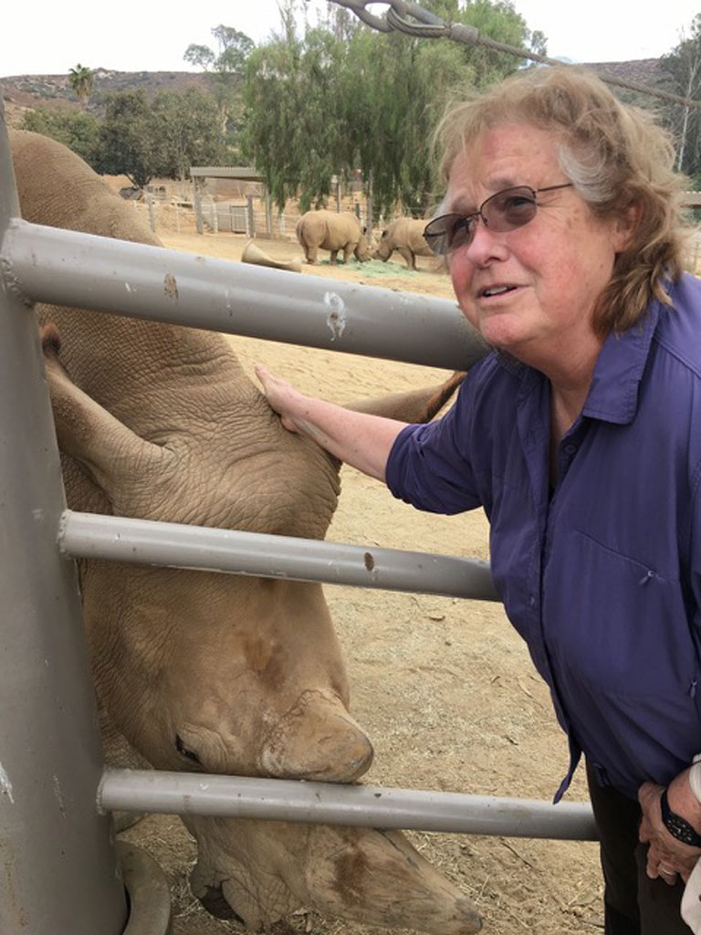 Professor Emeritus Jeanne Loring posing with a northern white rhinoceros. / Credit: Jeanne Loring
