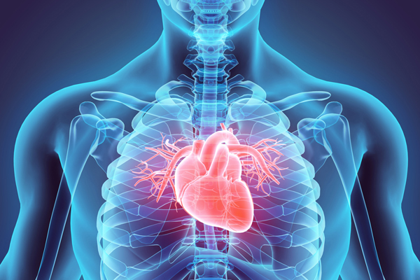 Heart Disease | Scripps Research