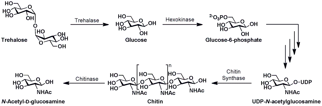 Therp Fig 1