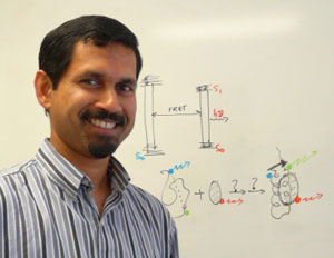 Photo of Ashok Deniz, Ph.D.