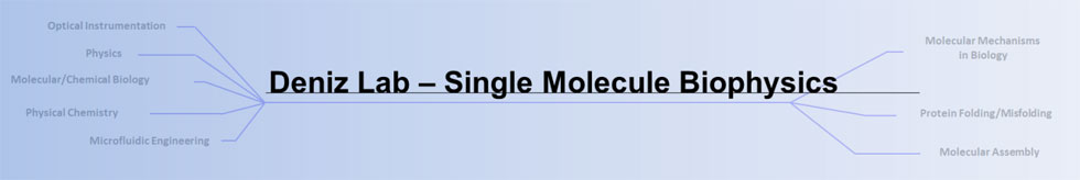 Deniz Lab Single Molecule Biophysics