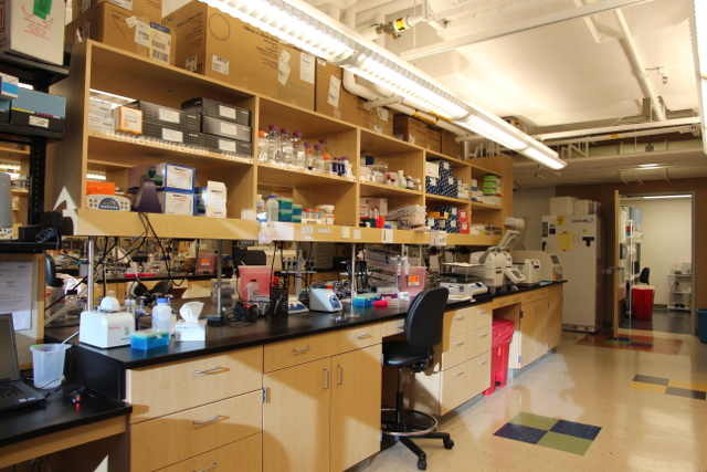 Lab photo1