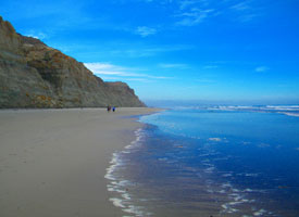 Photo of Torrey Pines State Beach