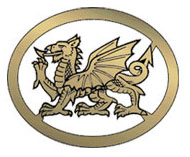 Gold Dragon