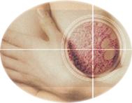 Cross sectional diagram of breast