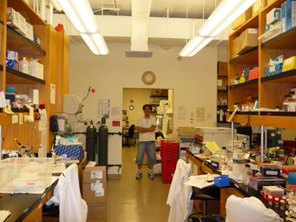 Hwajin Lee, BSc,  and the Lab 2008