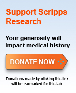 Donate button for the Hanneken Lab