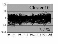 cluster 10 image