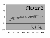 cluster 2 image