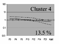 cluster 4 image
