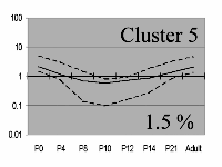 cluster 5 image