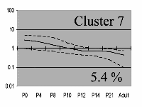cluster 7 image