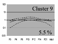 cluster 9 image