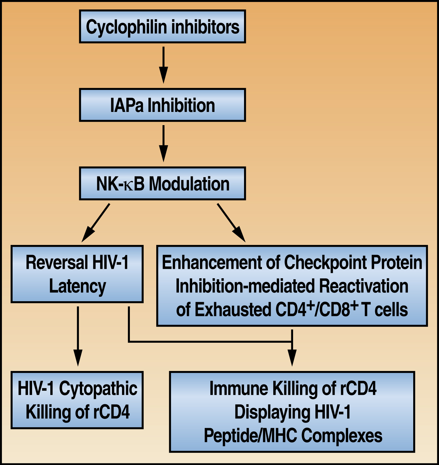 HIV-1 Cure Overview