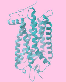 Graphic representation of pigment