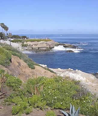 La Jolla Cove