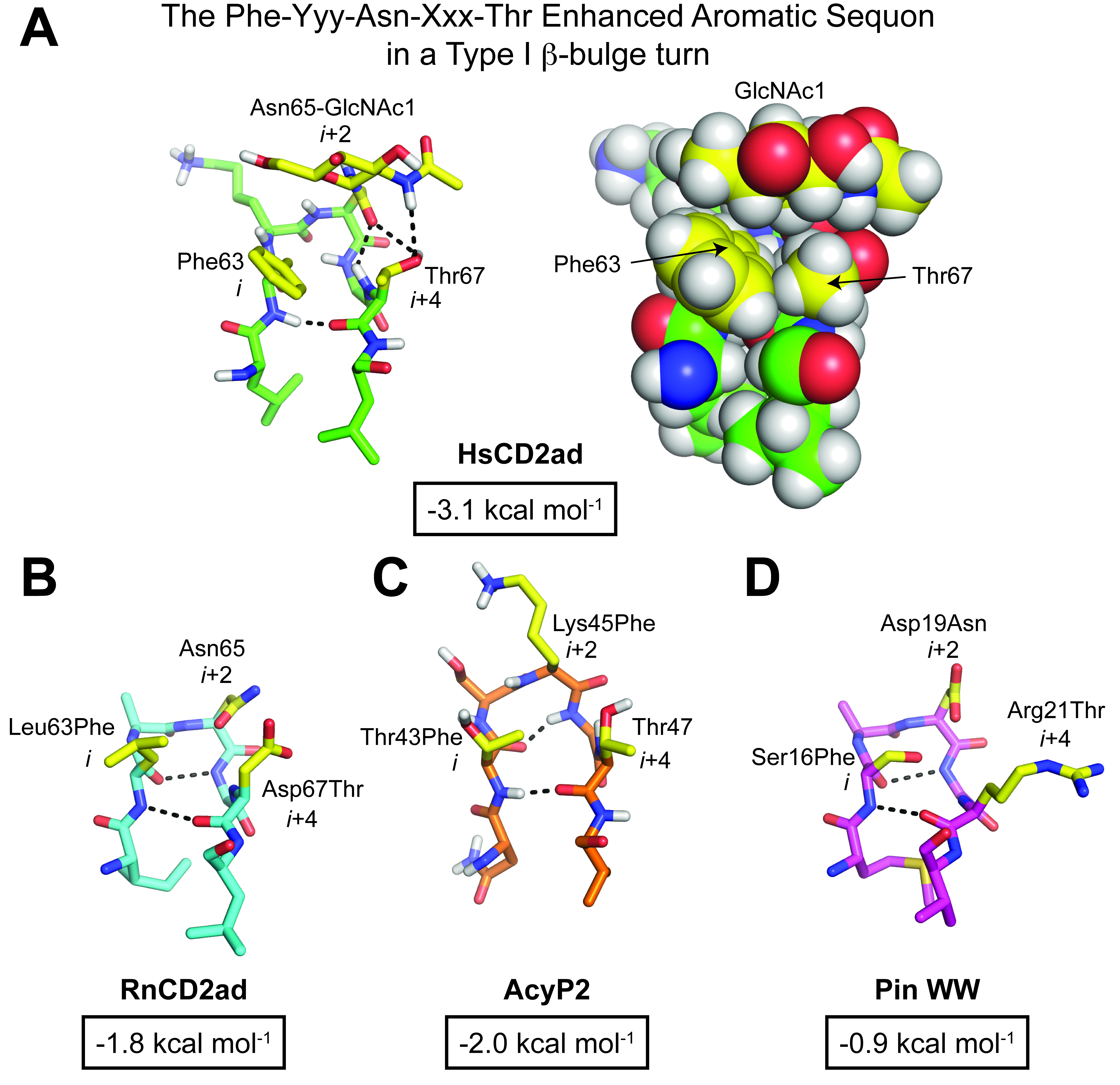 Figure-8---the-FZNXT-sequon-01.jpg