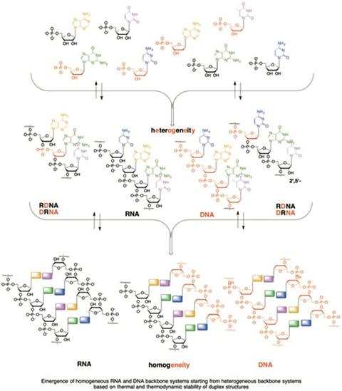 RN/DNA world