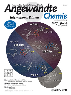 Mapping the Landscape of Potentially Primordial Informational Oligomers