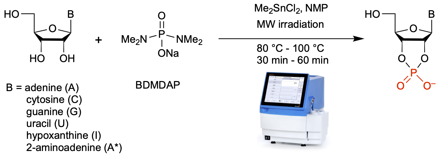 MW-cyclophosphorylation.png