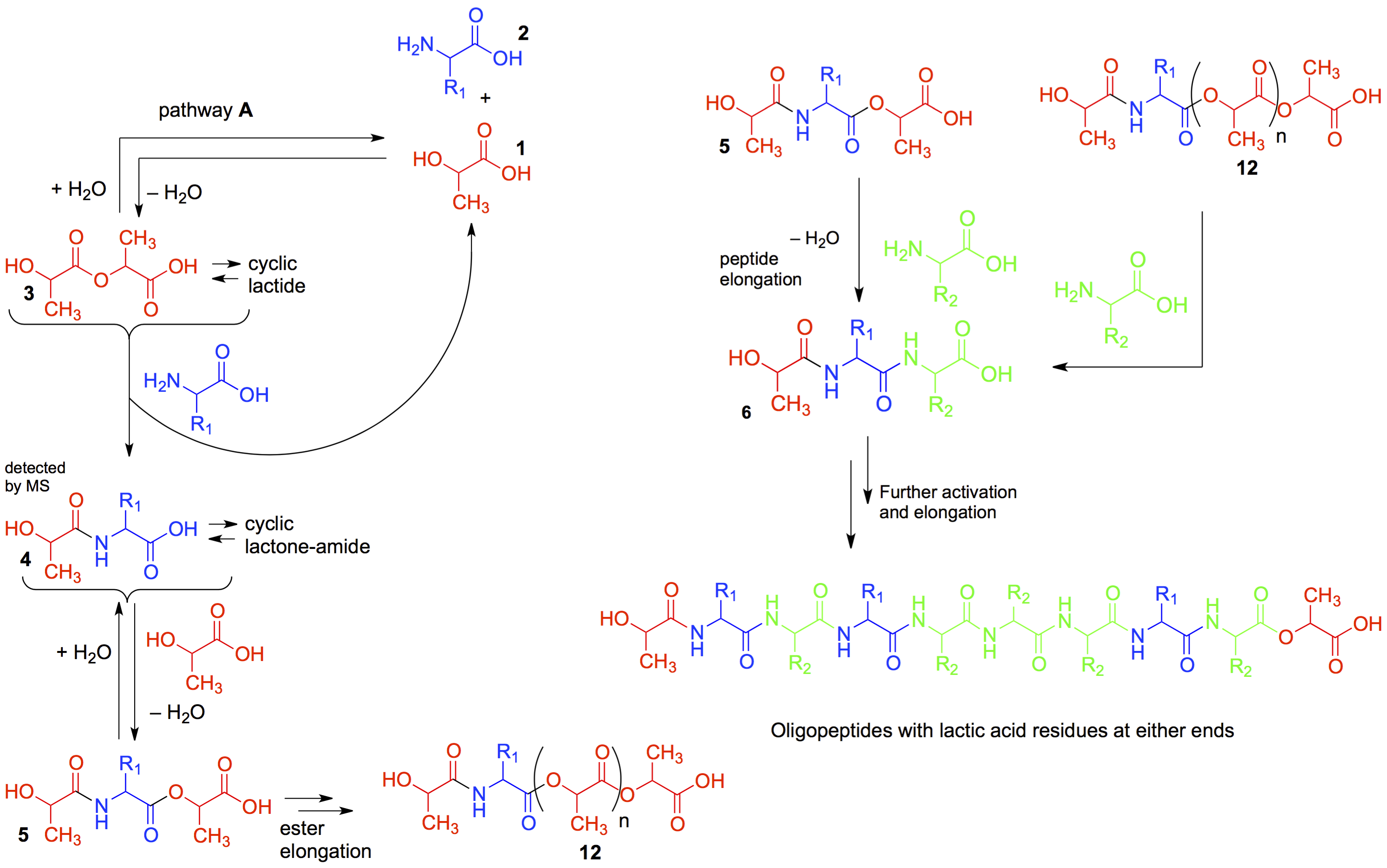 Mechanism