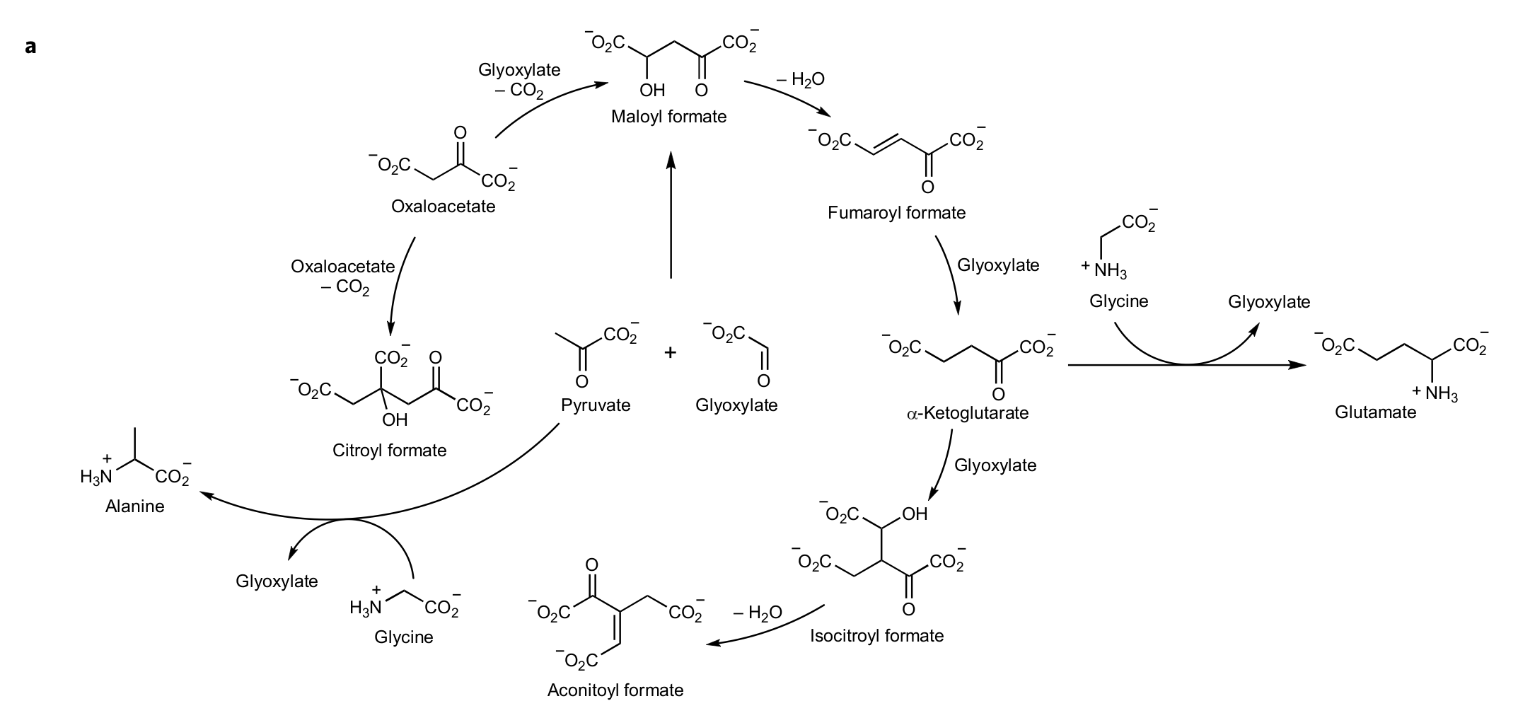 Nat.-Chem.-Figure-1.png