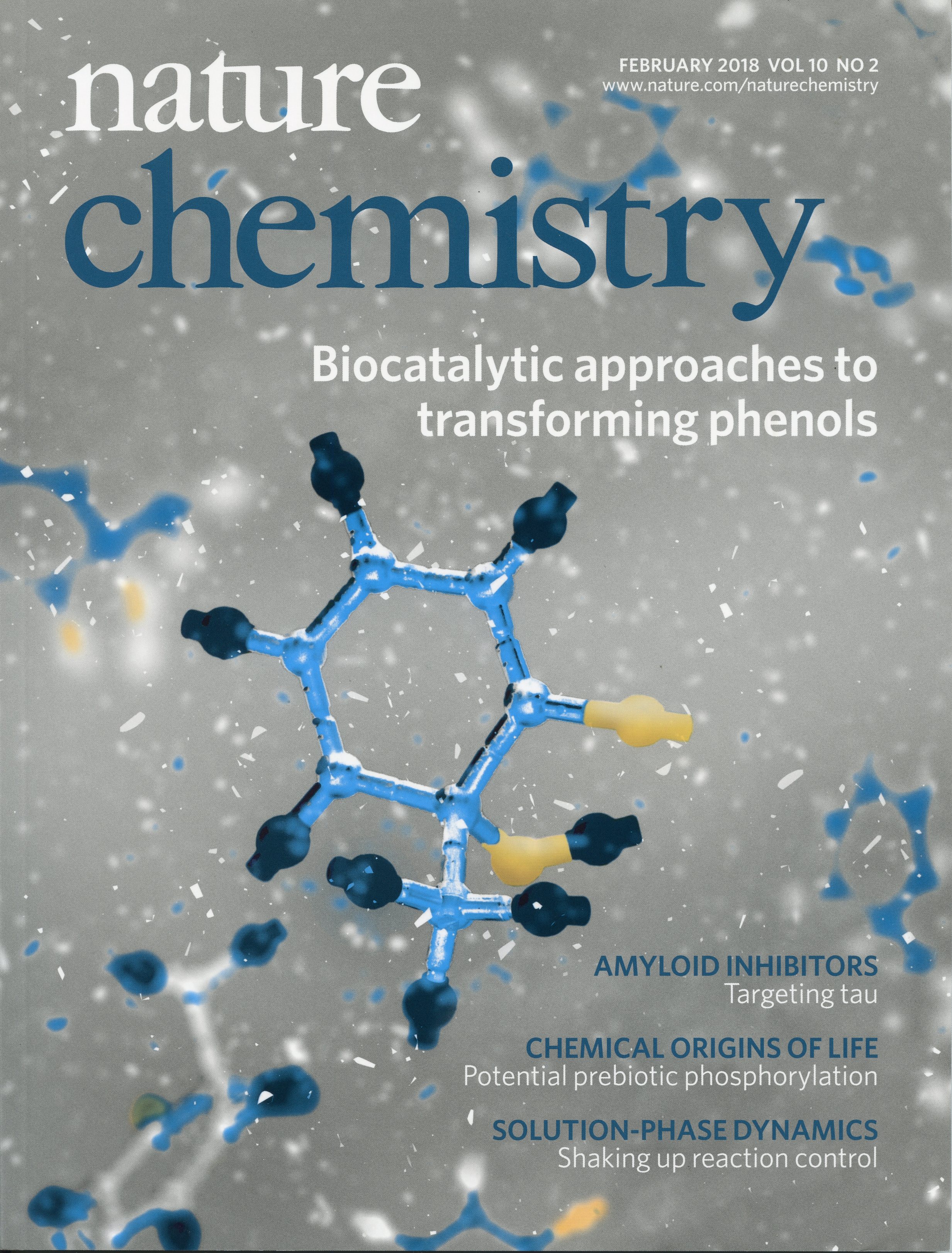 Nature-Chemistry2018_Feb001.jpg