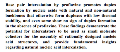 facts about nucleic acids