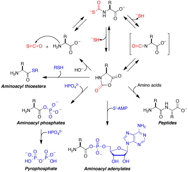 Research image for Prebiotic chemistry