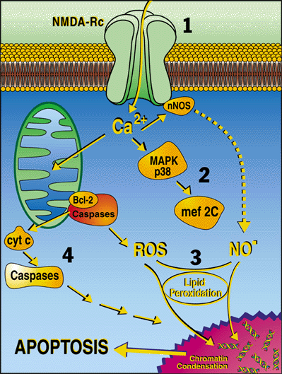 schematic