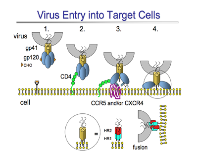 Research image