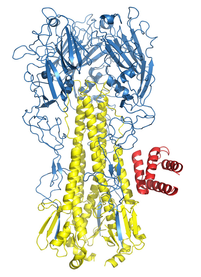 wilson lab