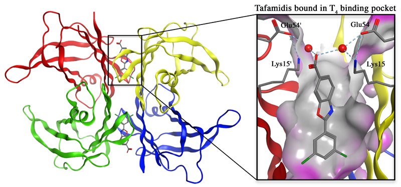 fig2