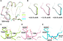 image of mutations in influenza genome