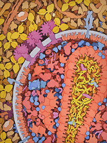 illustration of an HIV antibody