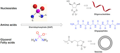 Phosphorylatio