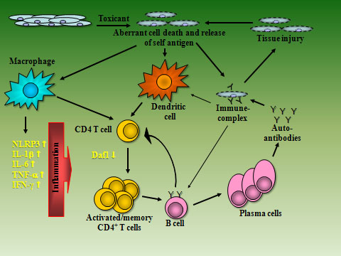 Diagram of the research model